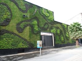 Giardinaggio in verticale 1553 0 Giardinaggio in verticale.JPG